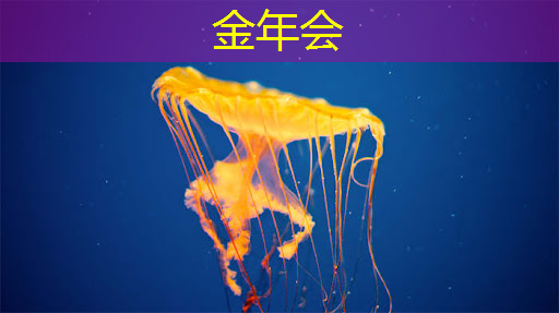 金年会:玩转大投影,双投智慧投影仪陪你度过美好时光! 金年会:玩转大投影,双投智慧投影仪陪你度过美好时光!