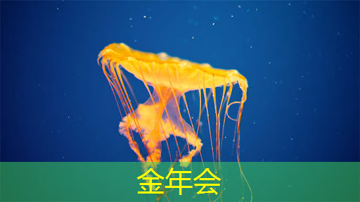 金年会:粉墨登场,展示魅力:用360智慧商显赢得顾客赞誉! 金年会:粉墨登场,展示魅力:用360智慧商显赢得顾客赞誉!