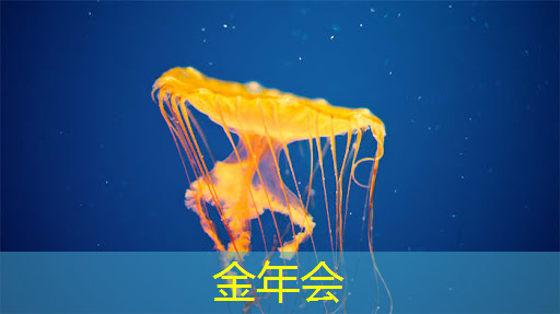 金年会:家里有网络,为何还需要手机wifi投屏? 金年会:家里有网络,为何还需要手机wifi投屏?