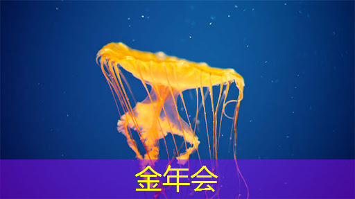 金年会:青浦智慧城市人才落户流程 金年会:青浦智慧城市人才落户流程