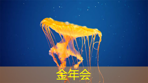 金年会:什么是通讯芯片?常见的通讯芯片有什么? 金年会:什么是通讯芯片?常见的通讯芯片有什么?