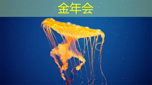 极越倒闭了,这款8650芯片+激光雷达的新势力还能买吗? 极越倒闭了,这款8650芯片+激光雷达的新势力还能买吗?