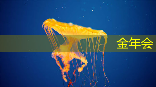 金年会:高通发布新一代5G基带芯片,传输数据更快还可连接卫星 金年会:高通发布新一代5G基带芯片,传输数据更快还可连接卫星