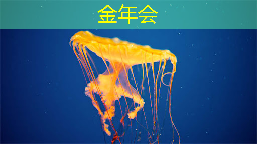 金年会:人工智能的热度被我们芯片行业蹭到了! 金年会:人工智能的热度被我们芯片行业蹭到了!