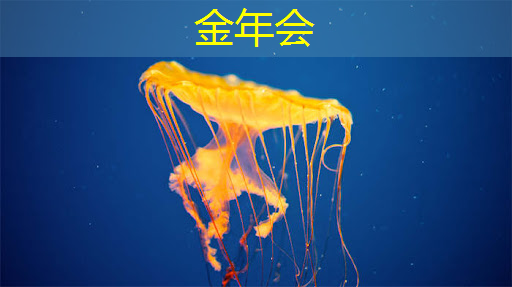 金年会:又一个国产5G芯片问世,预计今年实现量产,性能达到主流水准 金年会:又一个国产5G芯片问世,预计今年实现量产,性能达到主流水准