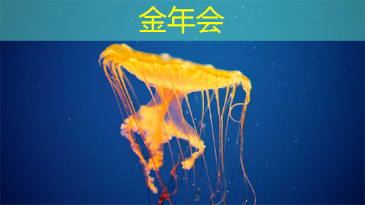 金年会:极越倒闭了,这款8650芯片+激光雷达的新势力还能买吗? 金年会:极越倒闭了,这款8650芯片+激光雷达的新势力还能买吗?