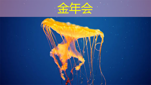 金年会:重磅!中国首条光芯片中试线量产,引领全球芯片产业变革 金年会:重磅!中国首条光芯片中试线量产,引领全球芯片产业变革