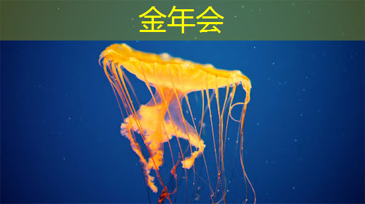 华为麒麟芯片:从质疑到认可,技术实力赢得市场尊重 华为麒麟芯片:从质疑到认可,技术实力赢得市场尊重