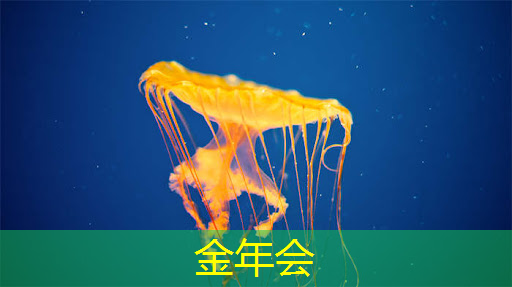 金年会:如何选择合适的射频芯片:选型指南与建议 金年会:如何选择合适的射频芯片:选型指南与建议