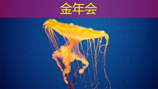 金年会：语音AI芯片在智能家居不同场景如何应用？杭州国芯AI事业部总经理凌云周四讲解！