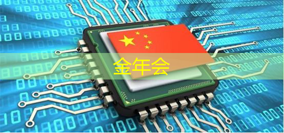 金年会：中国企业为何不选国产芯片？背后秘密大揭秘！