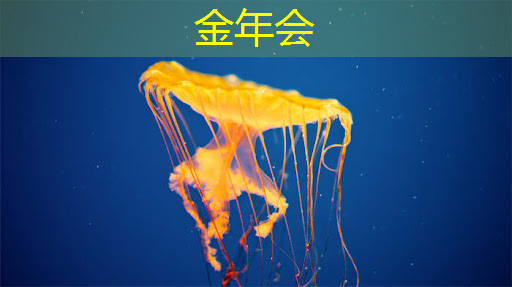金年会:ASIC芯片王者!垄断45%市场份额,大厂抛弃GPU,下一个常山北明? 金年会:ASIC芯片王者!垄断45%市场份额,大厂抛弃GPU,下一个常山北明?