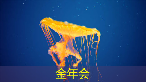 金年会:AI 智能时代的 Azure Maia:从芯片到软件再到系统 金年会:AI 智能时代的 Azure Maia:从芯片到软件再到系统