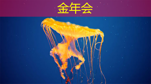 玩转大投影，双投智慧投影仪陪你度过美好时光！