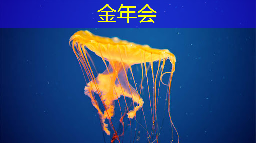 商显智慧屏评测：为商业展示赋予智慧之光