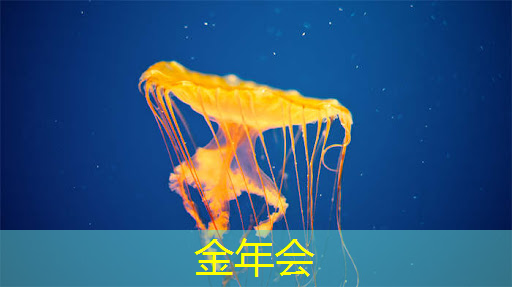 多功能、高品质！智能无线眼镜投屏满足你所有需求！