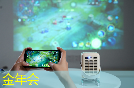 选购掌上游戏机芯片时需要注意的电源功率要求是多少？