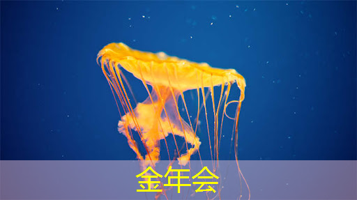 盒子投屏与投屏器同步出击，给你独特的电影体验！