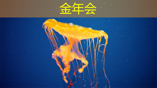 早教投屏产品的市场价位是多少？