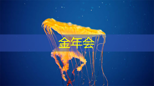 实效卓越！商显智慧屏成就企业市场竞争力！