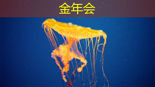 儿童早教投屏是什么？值得家长支持吗？