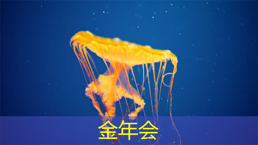 车载信息终端与工业互联网