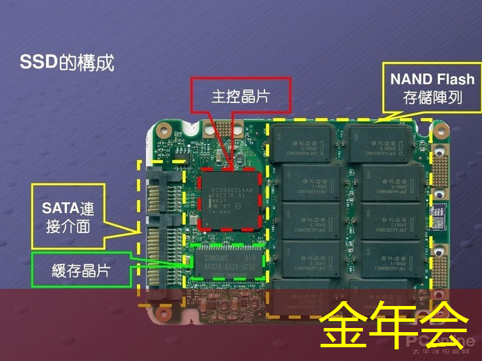 进入新纪元：探索四维投影和四维智慧的无限可能性