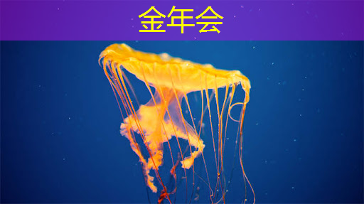 智慧城市监控从哪里看到