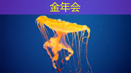 黄石工业互联网创业项目 黄石工业互联网创业项目