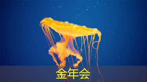 定制商显智慧屏:打造独特店铺形象的秘密武器 定制商显智慧屏:打造独特店铺形象的秘密武器