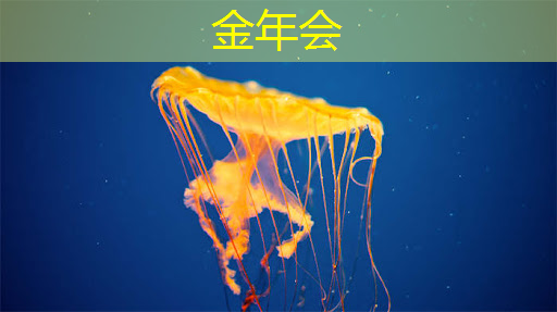 欢聚一堂,手机同屏为您带来难忘时刻! 欢聚一堂,手机同屏为您带来难忘时刻!