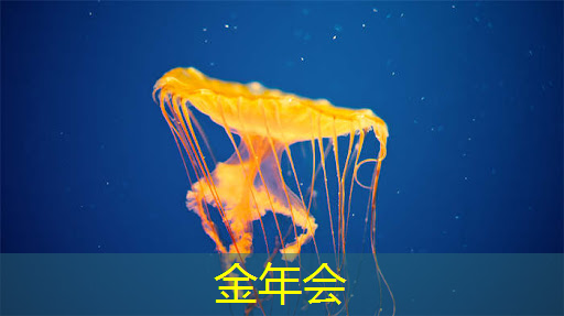互联网思维赋能商业展示:智慧商显的未来趋势 互联网思维赋能商业展示:智慧商显的未来趋势