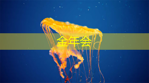 商显产业迎接创新浪潮,参与智慧商显产业创新大会深度洞察 商显产业迎接创新浪潮,参与智慧商显产业创新大会深度洞察