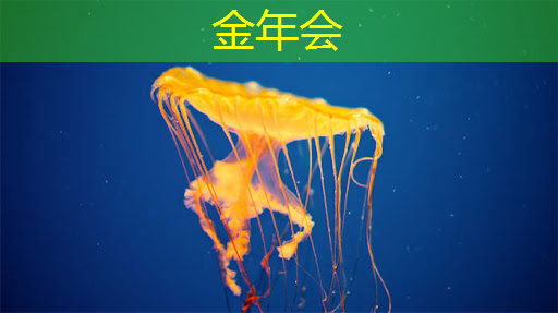连接更快、操作更简单!无线手机同屏重新定义科技体验 连接更快、操作更简单!无线手机同屏重新定义科技体验