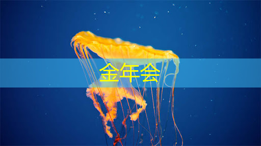 使用什么掌上游戏机芯片才能畅玩3D游戏? 使用什么掌上游戏机芯片才能畅玩3D游戏?