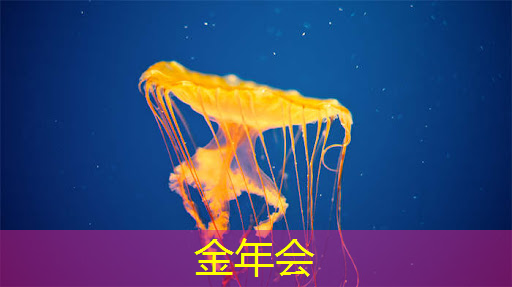无线网如何提升自由职业者的工作效率? 无线网如何提升自由职业者的工作效率?