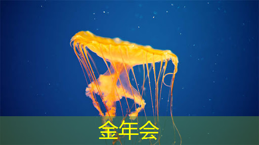 打造多元化展示!商显智慧屏为你奠定商业地位! 打造多元化展示!商显智慧屏为你奠定商业地位!