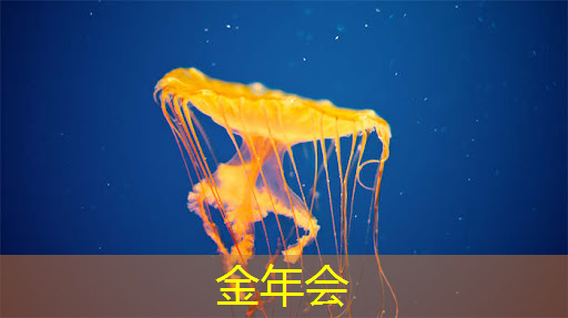 数据精准交付:智慧商显管理平台为广告主提供更多选择 数据精准交付:智慧商显管理平台为广告主提供更多选择