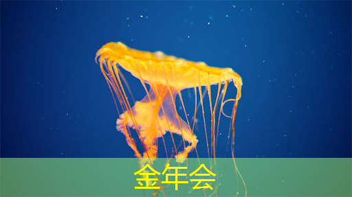 小到大,镜像投屏或同屏让你的手机瞬间变身影音界领袖! 小到大,镜像投屏或同屏让你的手机瞬间变身影音界领袖!