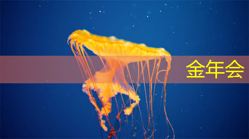 打开幻想大门:智慧投影互动软件释放创意无限! 打开幻想大门:智慧投影互动软件释放创意无限!