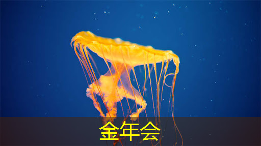 TCL智慧商显解锁商业新空间:OPS系统引领未来趋势 TCL智慧商显解锁商业新空间:OPS系统引领未来趋势