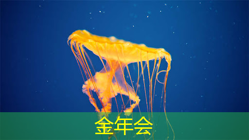 芯片设计如何避免电应力造成产品失效? 芯片设计如何避免电应力造成产品失效?