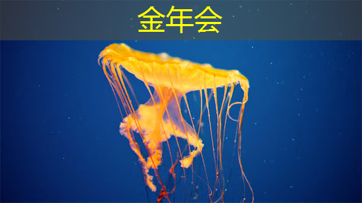 【走进八零联合】赋能新型显示芯片智能化生产时代 【走进八零联合】赋能新型显示芯片智能化生产时代