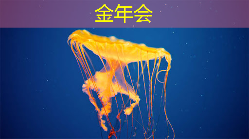 如何区分芯片cp测试和ft测试 如何区分芯片cp测试和ft测试