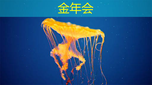 全球首款存算一体高通量算力芯片在京首发 全球首款存算一体高通量算力芯片在京首发
