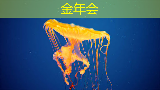 芯片产业的发展面临着多方面的挑战和困难 芯片产业的发展面临着多方面的挑战和困难